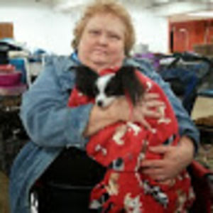 Meet your Posher, Edwina